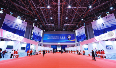 中国太保亮相首届中国国际进口博览会综合服务专区